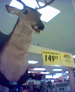 TalkingDeer1.jpg